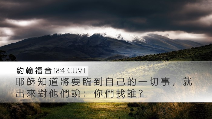 約 翰 福 音 18:4 CUVT Bible Verse Image