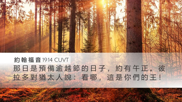 約 翰 福 音 19:14 CUVT Bible Verse Image
