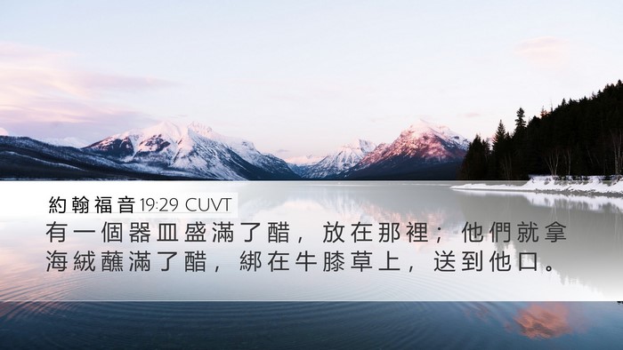 約 翰 福 音 19:29 CUVT Desktop Wallpaper - 有 一 個 器 皿 盛 滿 了 醋 ， 放 在 - Desktop Bible Verse Wallpaper