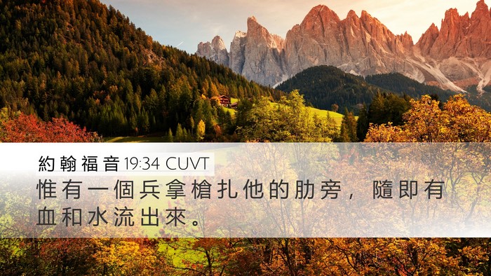 約 翰 福 音 19:34 CUVT Bible Verse Image