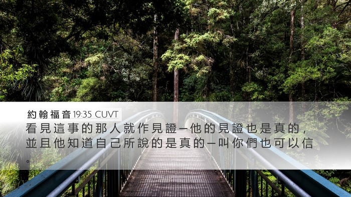 約 翰 福 音 19:35 CUVT Bible Verse Image