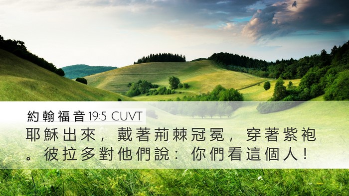 約 翰 福 音 19:5 CUVT Bible Verse Image