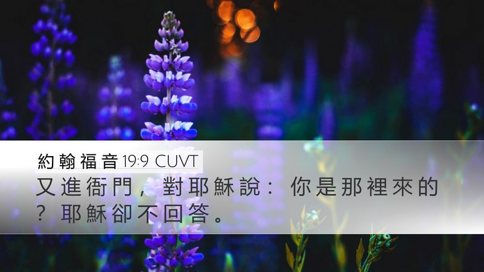 約 翰 福 音 19:9 CUVT Bible Verse Image