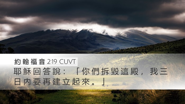 約 翰 福 音 2:19 CUVT Bible Verse Image