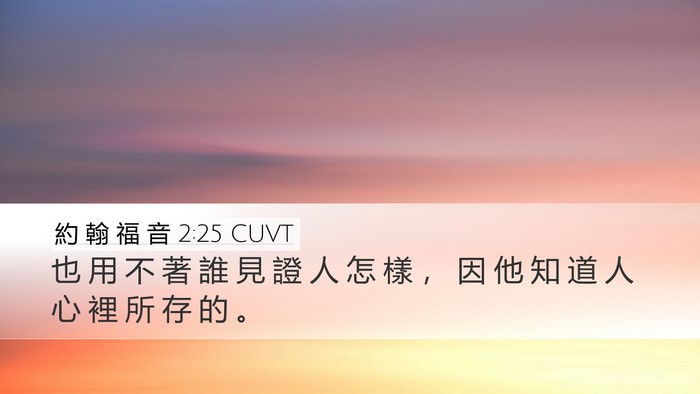 約 翰 福 音 2:25 CUVT Bible Verse Image