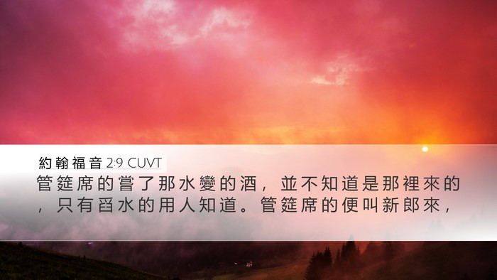 約 翰 福 音 2:9 CUVT Bible Verse Image
