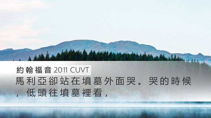 約 翰 福 音 20:11 CUVT Bible Verse Image