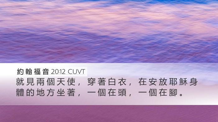 約 翰 福 音 20:12 CUVT Bible Verse Image
