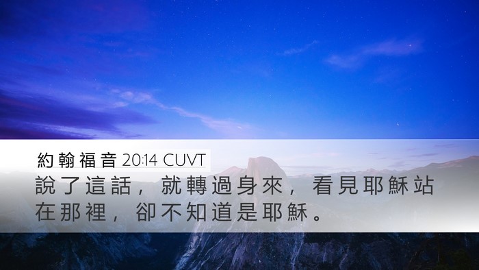 約 翰 福 音 20:14 CUVT Bible Verse Image