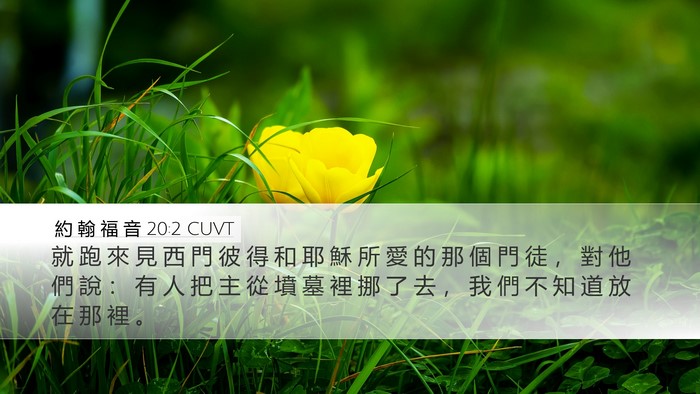 約 翰 福 音 20:2 CUVT Bible Verse Image