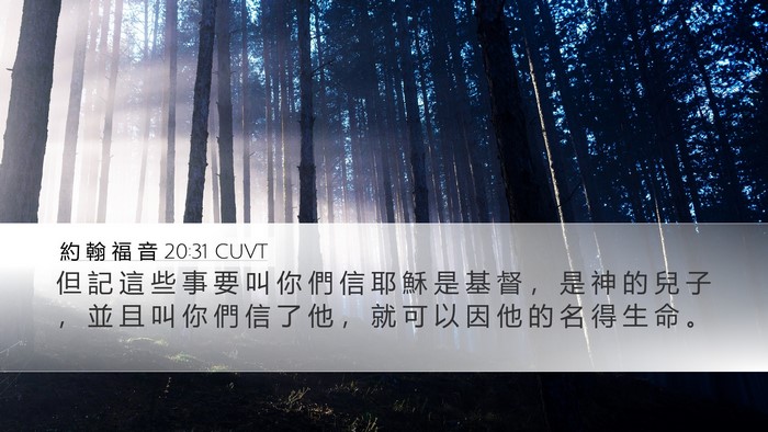 約 翰 福 音 20:31 CUVT Bible Verse Image