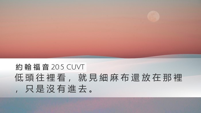 約 翰 福 音 20:5 CUVT Bible Verse Image