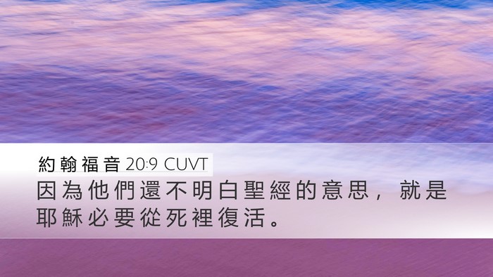 約 翰 福 音 20:9 CUVT Bible Verse Image