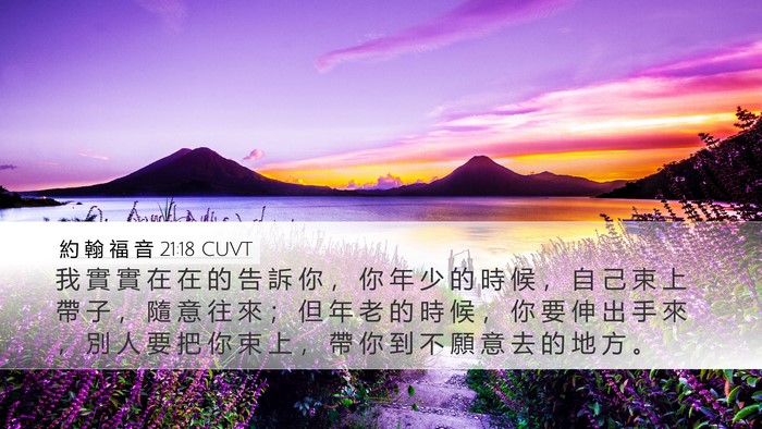 約 翰 福 音 21:18 CUVT Bible Verse Image