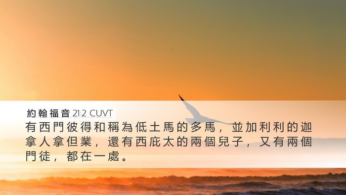 約 翰 福 音 21:2 CUVT Bible Verse Image