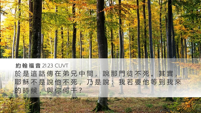 約 翰 福 音 21:23 CUVT Bible Verse Image