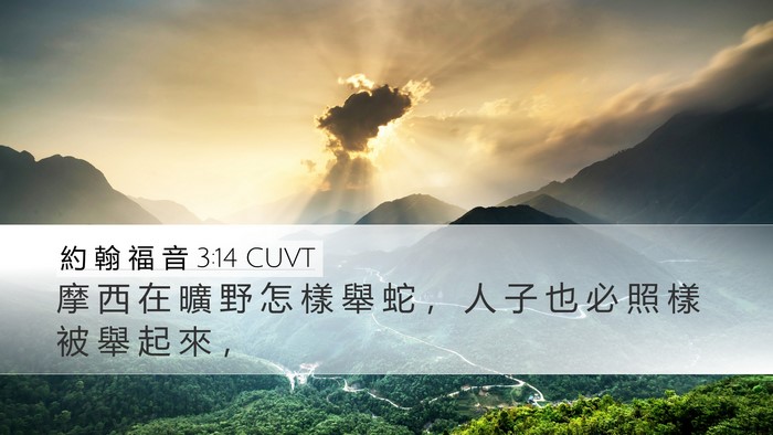約 翰 福 音 3:14 CUVT Bible Verse Image