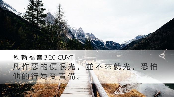 約 翰 福 音 3:20 CUVT Bible Verse Image