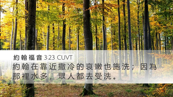 約 翰 福 音 3:23 CUVT Bible Verse Image