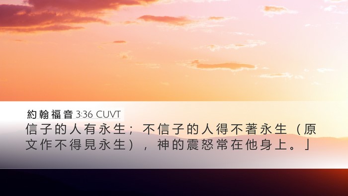 約 翰 福 音 3:36 CUVT Bible Verse Image