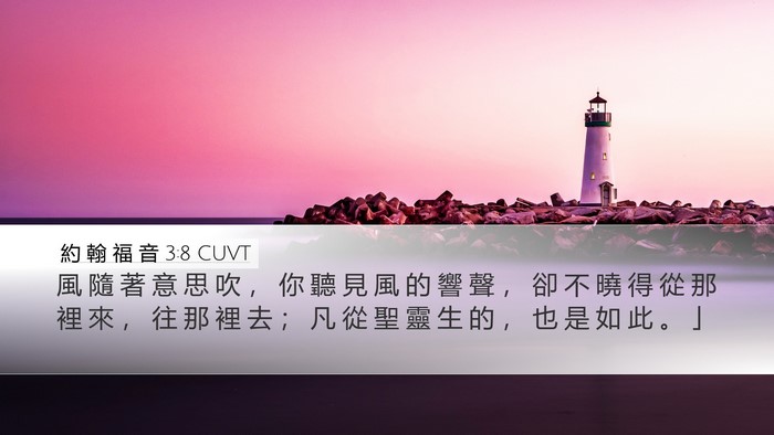 約 翰 福 音 3:8 CUVT Bible Verse Image
