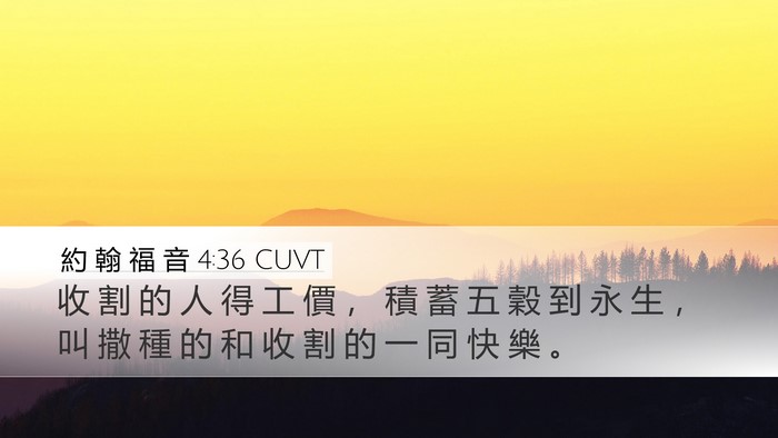 約 翰 福 音 4:36 CUVT Bible Verse Image