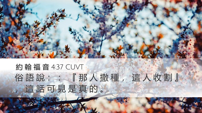 約 翰 福 音 4:37 CUVT Bible Verse Image