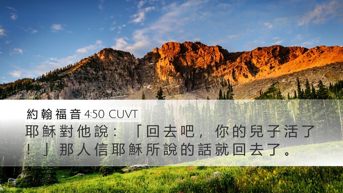約 翰 福 音 4:50 CUVT Bible Verse Image