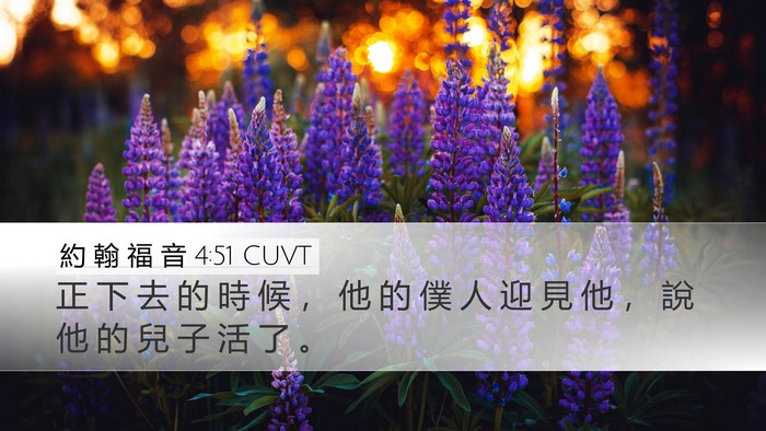 約 翰 福 音 4:51 CUVT Desktop Wallpaper - 正 下 去 的 時 候 ， 他 的 僕 人 迎 - Desktop Bible Verse Wallpaper