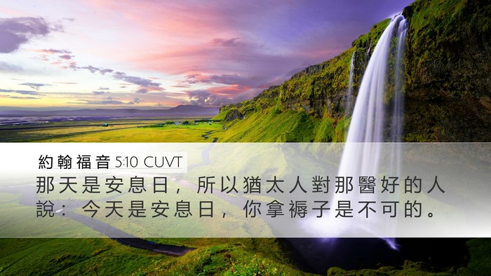 約 翰 福 音 5:10 CUVT Desktop Wallpaper - 那 天 是 安 息 日 ， 所 以 猶 太 人 - Desktop Bible Verse Wallpaper