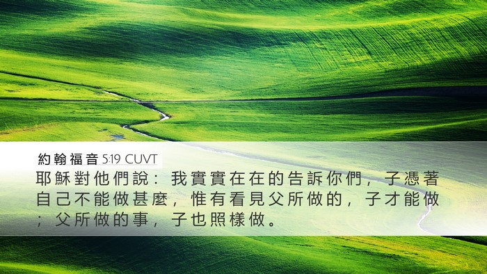 約 翰 福 音 5:19 CUVT Bible Verse Image