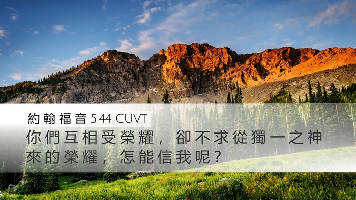 約 翰 福 音 5:44 CUVT Bible Verse Image