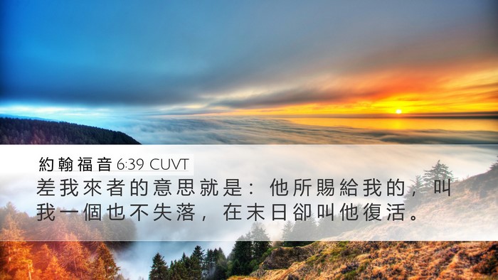 約 翰 福 音 6:39 CUVT Bible Verse Image
