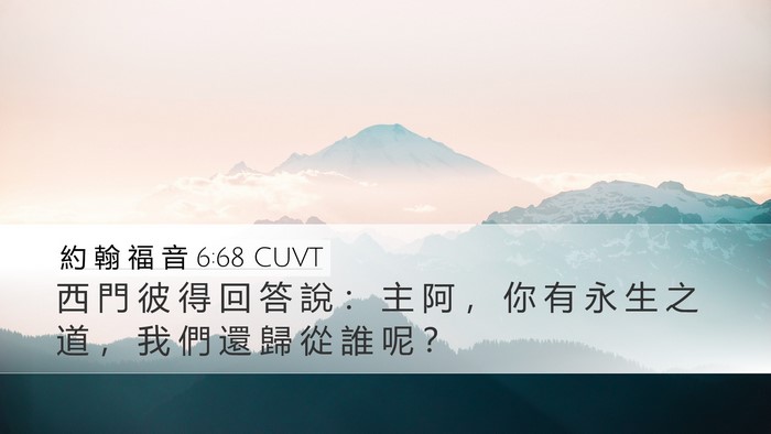 約 翰 福 音 6:68 CUVT Bible Verse Image