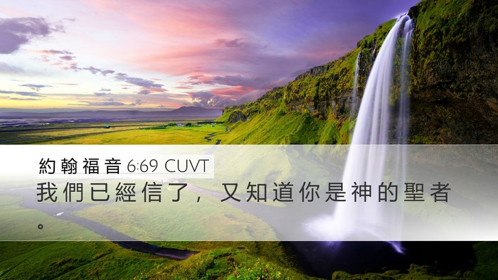 約 翰 福 音 6:69 CUVT Bible Verse Image