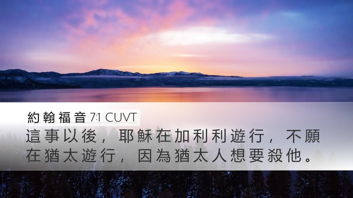 約 翰 福 音 7:1 CUVT Bible Verse Image