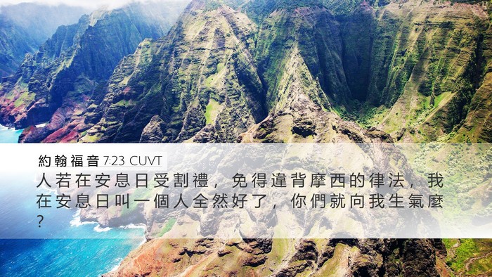 約 翰 福 音 7:23 CUVT Bible Verse Image