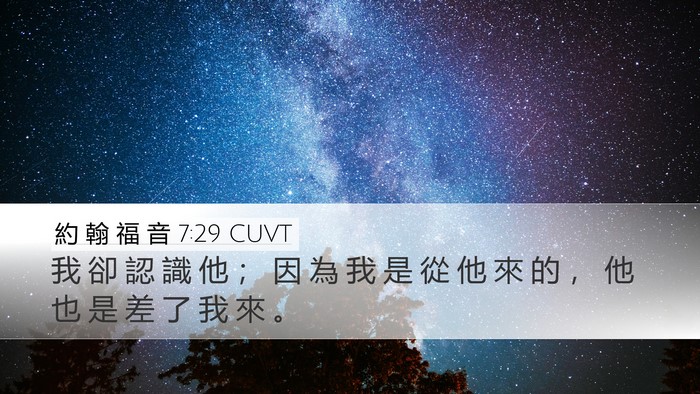 約 翰 福 音 7:29 CUVT Bible Verse Image