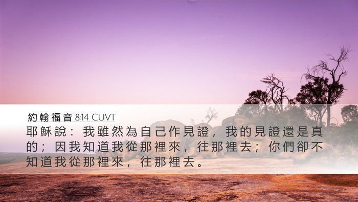 約 翰 福 音 8:14 CUVT Bible Verse Image