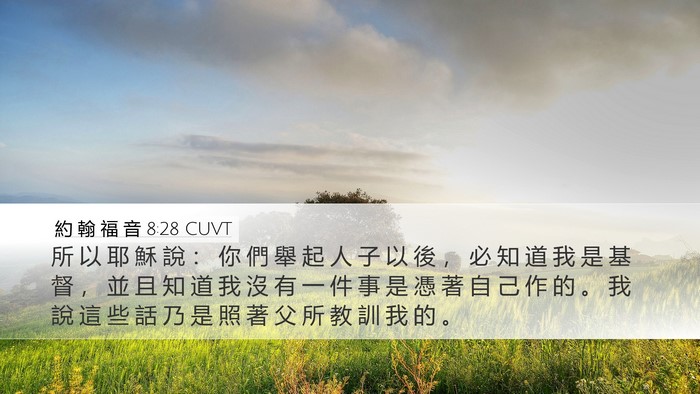 約 翰 福 音 8:28 CUVT Bible Verse Image