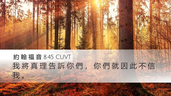 約 翰 福 音 8:45 CUVT Bible Verse Image