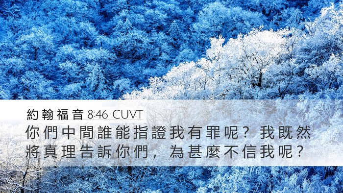 約 翰 福 音 8:46 CUVT Bible Verse Image