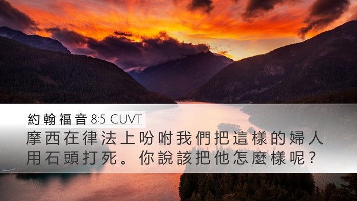 約 翰 福 音 8:5 CUVT Bible Verse Image