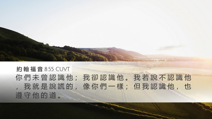約 翰 福 音 8:55 CUVT Bible Verse Image