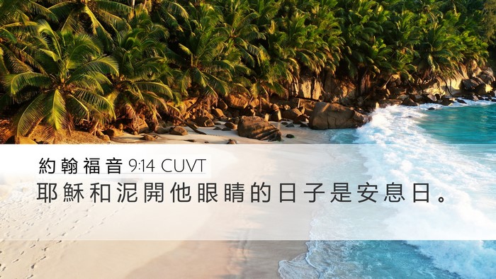 約 翰 福 音 9:14 CUVT Bible Verse Image