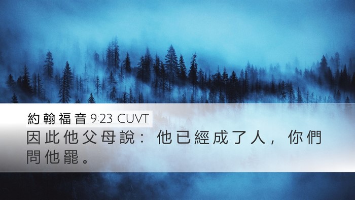 約 翰 福 音 9:23 CUVT Desktop Wallpaper - 因 此 他 父 母 說 ： 他 已 經 成 了 - Desktop Bible Verse Wallpaper