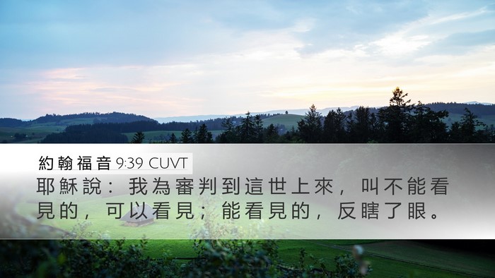 約 翰 福 音 9:39 CUVT Bible Verse Image