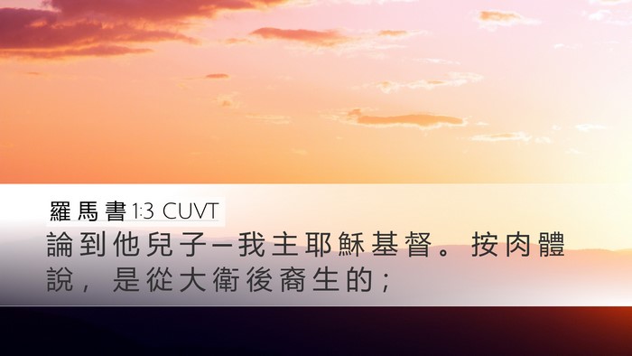 羅 馬 書 1:3 CUVT Bible Verse Image