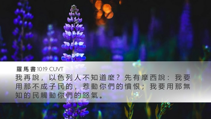 羅 馬 書 10:19 CUVT Bible Verse Image