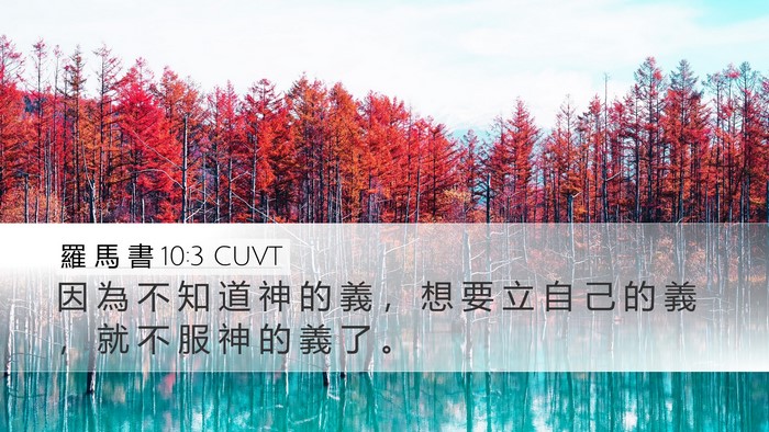 羅 馬 書 10:3 CUVT Bible Verse Image